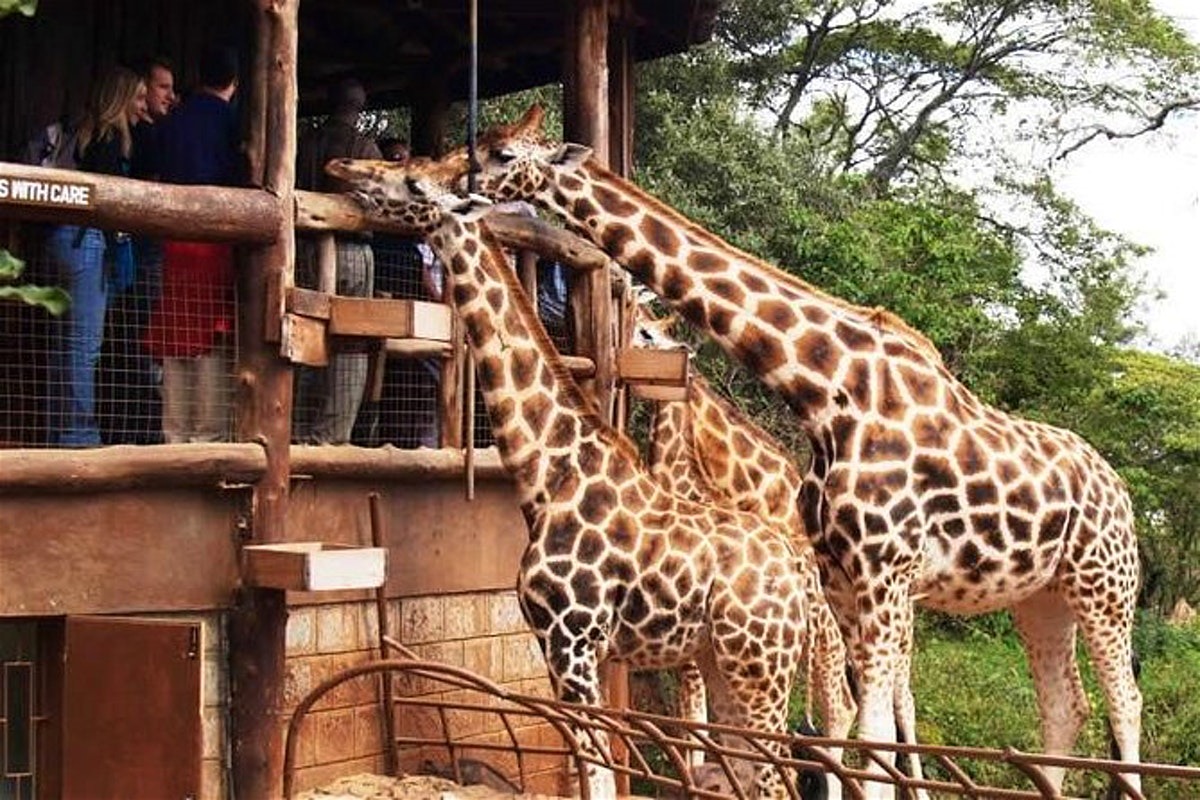East Africa Safari Expedition 3