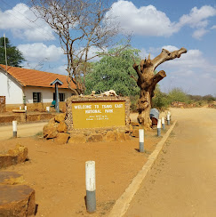 4 (FOUR) DAYS SAFARI TSAVO WEST, AMBOSELI, TSAVO EAST
